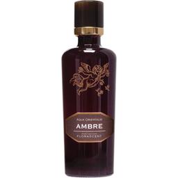 Classic Collection: Aqua Orientalis - Ambre