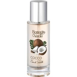 Cocco