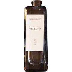 Collezione Privata - Velluto