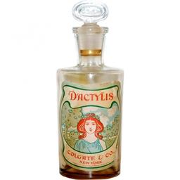 Dactylis