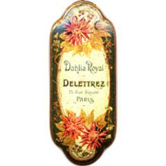 Dahlia Royal