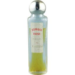 Damask Rose