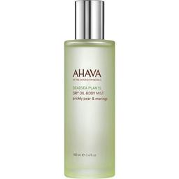 Deadsea Plants - Pear & Moringa