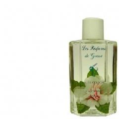 Eau de Cologne à l'Ancienne - Jasmin