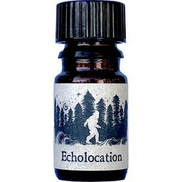 Echolocation