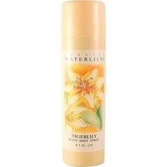 English Waterlilys - Tigerlily