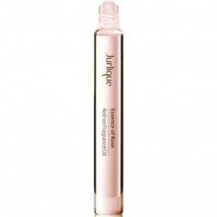 Essence of Rose