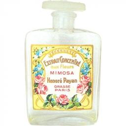 Extrait Concentré aux Fleurs - Mimosa