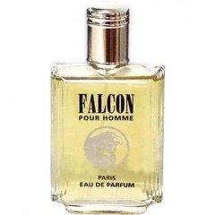 Falcon pour Homme