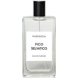Fico Selvatico