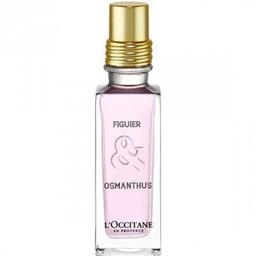 Figuier & Osmanthus