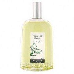 Figuier Fleur
