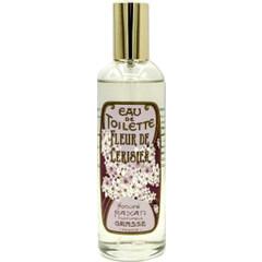 Fleur de cerisier