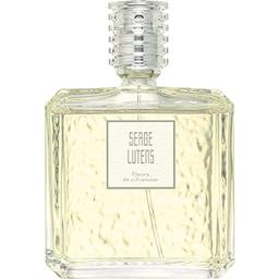 Fleurs de citronnier