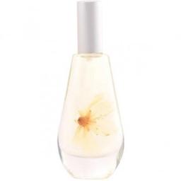Flor d'Ametler Clàssic