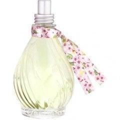 Flor de Carambola