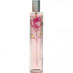 Floralia - Rosa Rosae