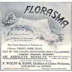 Florasma - Heliotrope