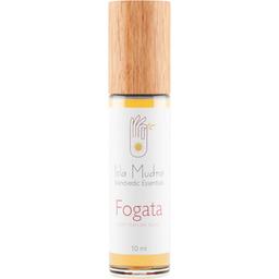Fogata