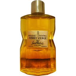 Forêt Vierge