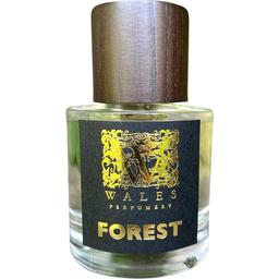 Forest - Coedwig