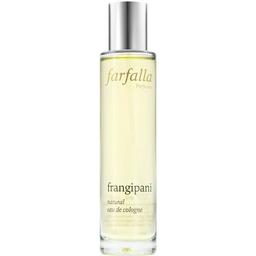 Frangipani