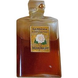 Gardénia Concentré