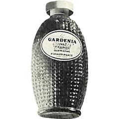 Gardenia de France