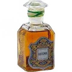 Gardenia