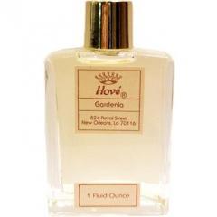 Gardenia