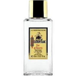 Héliotrope Blanc