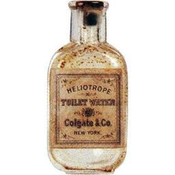 Heliotrope