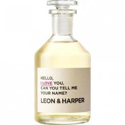 Hello, I Love You, Can You Tell Me Your Name?
