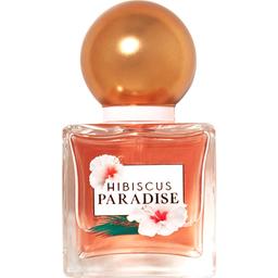 Hibiscus Paradise