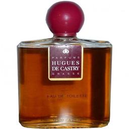 Hugues de Castry
