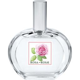 I Classici - Rosa-Rosae