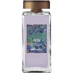 Iris - Vincent van Gogh