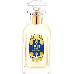 Iris des Champs
