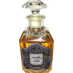 Jasmin de Siam