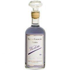 Jean des Salines - Violette