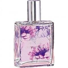 L'Essence de France - Fleur de Provence