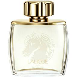 Lalique pour Homme Equus