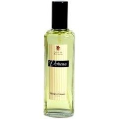 Las Flores de Alvarez Gómez - Verbena