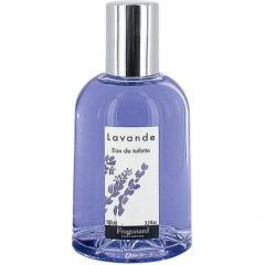 Lavande