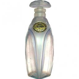 Le Jasmin