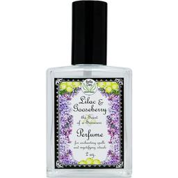 Lilac & Gooseberry