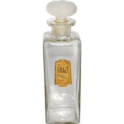Lily of the Valley