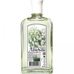Lily of the Valley
