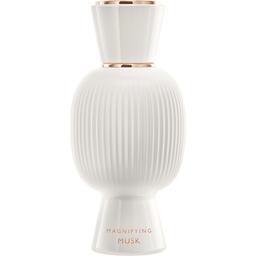 Magnifying Musk