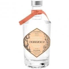 Mandarine Gingembre
